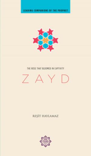 Book cover of Zayd