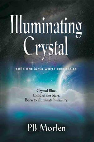 Cover of the book Illuminating Crystal - Book One in the White Bird Series by Gerald F. Sweeney