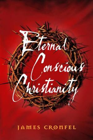 Cover of the book Eternal Conscious Christianity by Elizabeth Hamlin