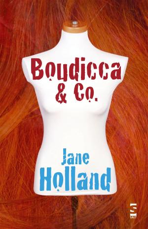 Book cover of Boudicca & Co.