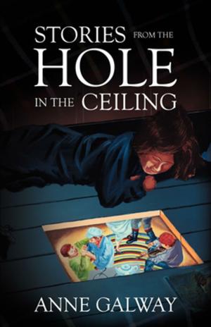 Cover of the book Stories from the Hole in the Ceiling by Nellie P. Strowbridge