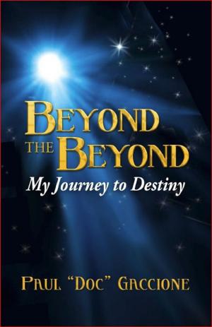 Cover of the book Beyond the Beyond by Brian J. D'Souza