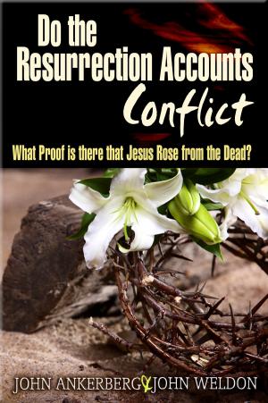 Cover of the book Do The Resurrection Accounts Conflict and What Proof Is There That Jesus Rose From The Dead? by Mike L Anderson