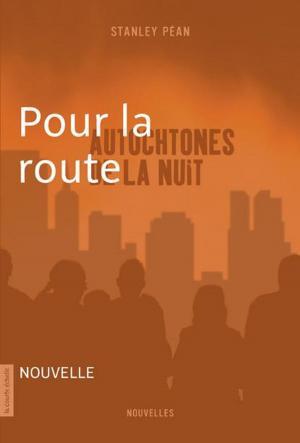 Cover of the book Pour la route by Roger Paré