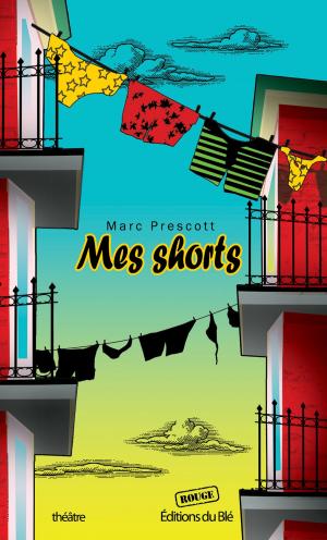 Cover of the book Mes shorts by Simone Chaput