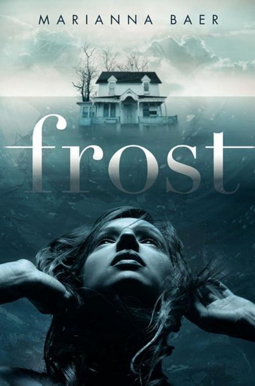 Cover of the book Frost by Marianna Baer, Balzer + Bray