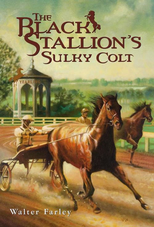 Cover of the book The Black Stallion's Sulky Colt by Walter Farley, Random House Children's Books