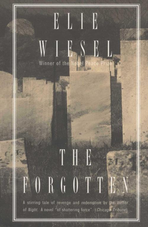 Cover of the book The Forgotten by Elie Wiesel, Knopf Doubleday Publishing Group