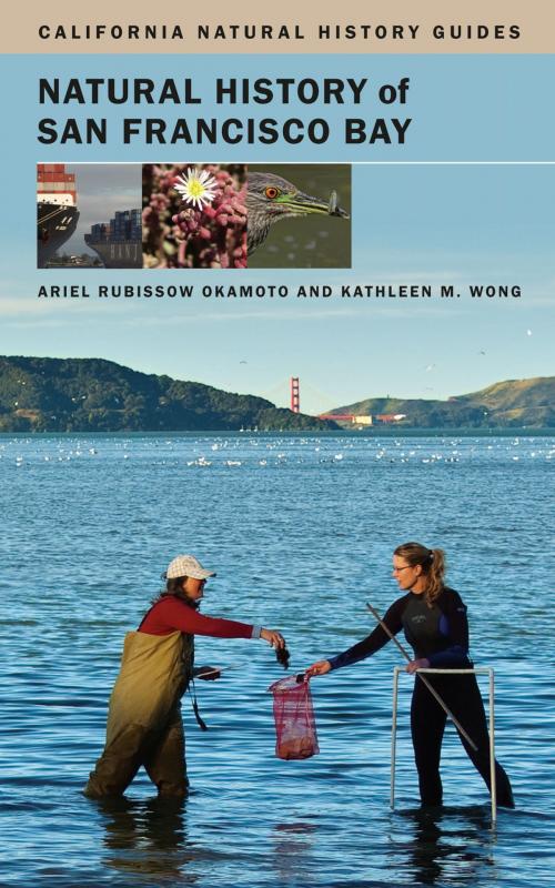 Cover of the book Natural History of San Francisco Bay by Ariel Rubissow Okamoto, Kathleen Wong, University of California Press