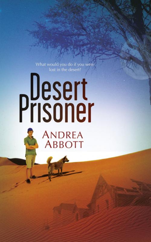 Cover of the book Desert Prisoner by Andrea Abbott, Tafelberg