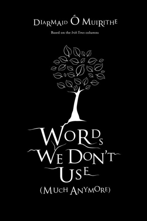 Cover of the book Words We Don't Use (Much Anymore) by Diarmaid Ó Muirithe, Gill Books