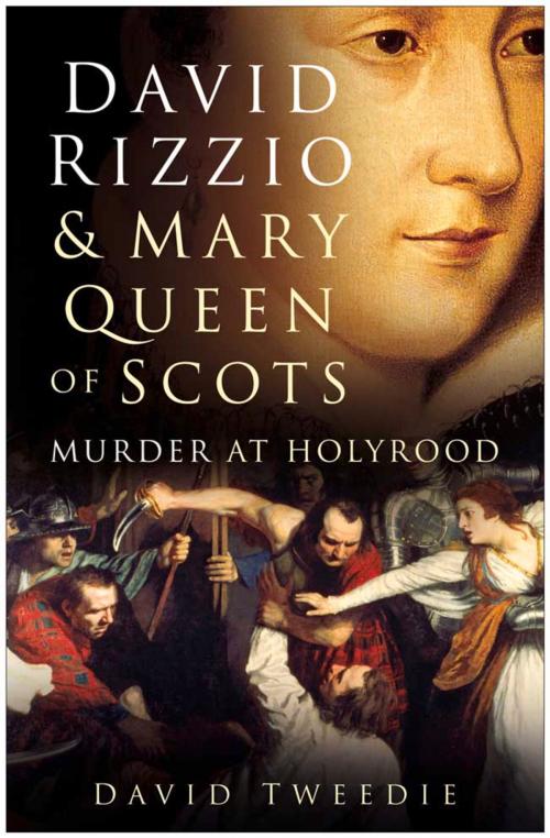 Cover of the book David Rizzio & Mary Queen of Scots by David Tweedie, The History Press