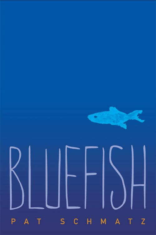 Cover of the book Bluefish by Pat Schmatz, Candlewick Press