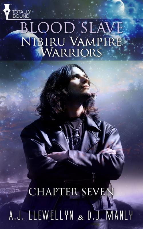 Cover of the book Nibiru Vampire Warriors-Chapter Seven by A.J. Llewellyn, D.J. Manly, Totally Entwined Group Ltd