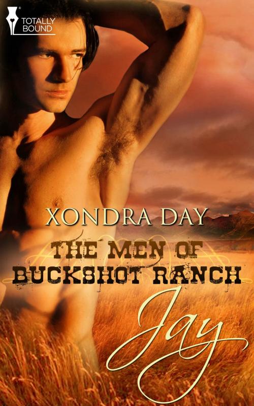 Cover of the book Jay by Xondra Day, Totally Entwined Group Ltd