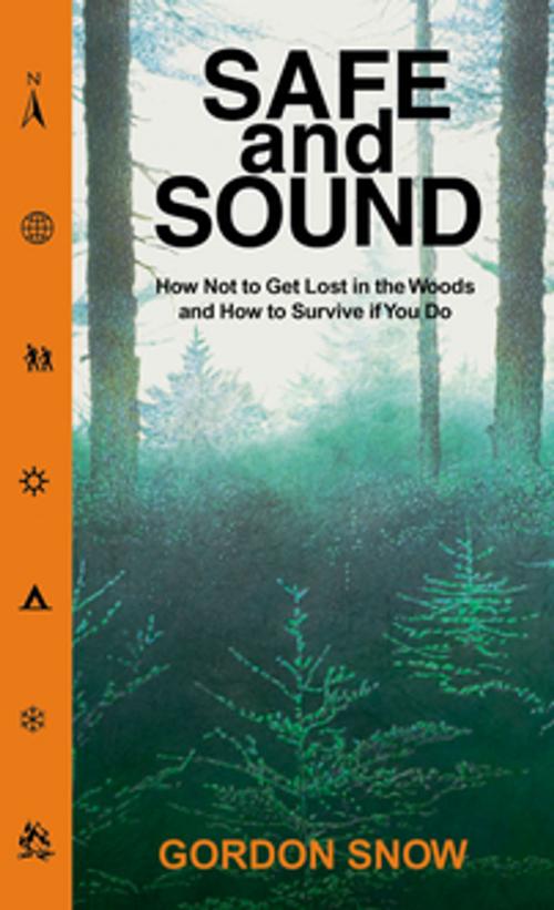 Cover of the book Safe and Sound by Gordon Snow, Goose Lane Editions