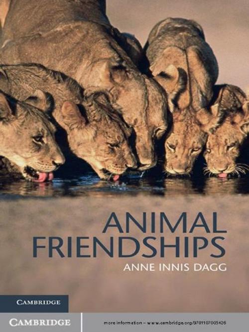 Cover of the book Animal Friendships by Anne Innis Dagg, Cambridge University Press
