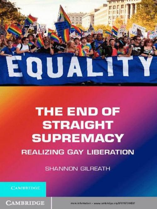 Cover of the book The End of Straight Supremacy by Shannon Gilreath, Cambridge University Press