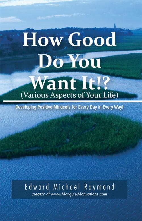 Cover of the book How Good Do You Want It? by Edward Michael Raymond, Trafford Publishing