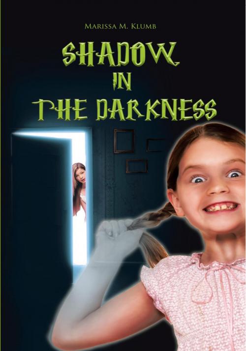 Cover of the book Shadow in the Darkness by Marissa M. Klumb, Trafford Publishing