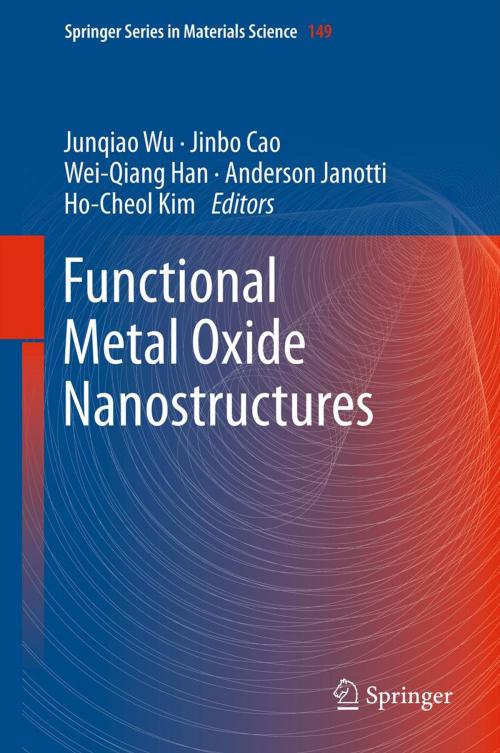 Cover of the book Functional Metal Oxide Nanostructures by , Springer New York