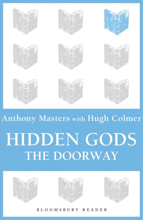 Cover of the book Hidden Gods by Anthony Masters, Hugh Colmer, Bloomsbury Publishing