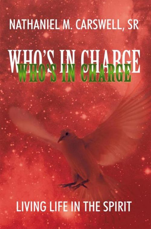 Cover of the book Who's in Charge by Nathaniel M. Carswell, Sr., WestBow Press