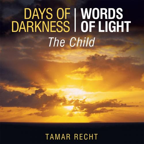 Cover of the book Days of Darkness Words of Light by Tamar Recht, WestBow Press