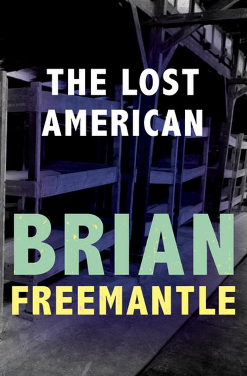 Cover of the book The Lost American by Brian Freemantle, Open Road Media