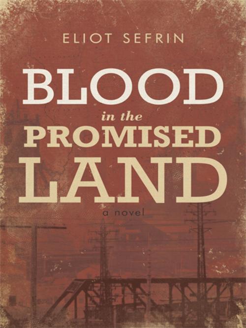 Cover of the book Blood in the Promised Land by Eliot Sefrin, iUniverse