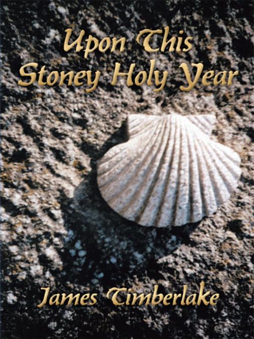 Cover of the book Upon This Stoney Holy Year by James Timberlake, AuthorHouse