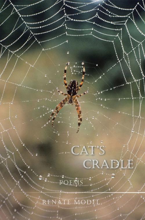 Cover of the book Cat's Cradle by Renate Model, AuthorHouse