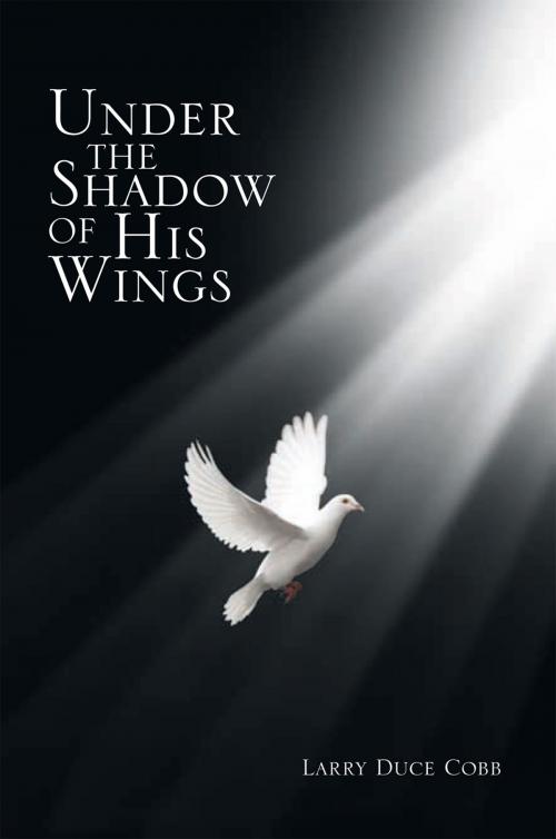 Cover of the book Under the Shadow of His Wings by Larry Duce Cobb, Xlibris US