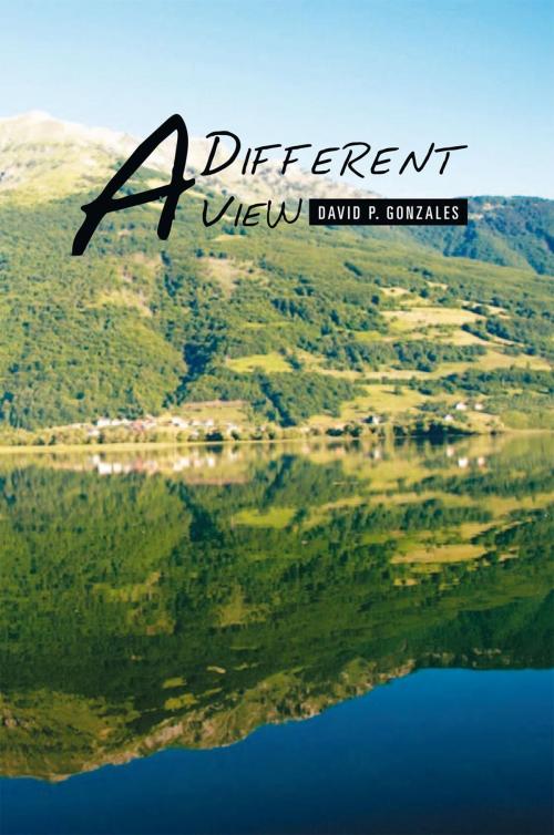 Cover of the book A Different View by David P. Gonzales, Xlibris US