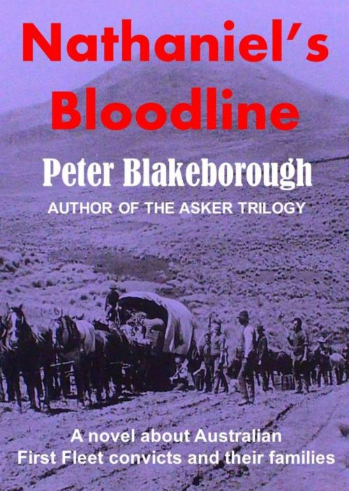 Cover of the book Nathaniel's Bloodline by Peter Blakeborough, Peter Blakeborough