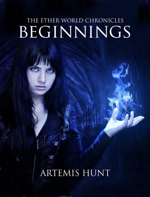 Cover of the book The Ether World Chronicles: Beginnings by Artemis Hunt, Artemis Hunt