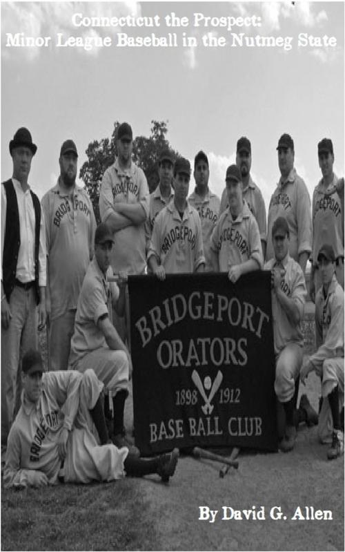 Cover of the book Connecticut the Prospect: Minor League Baseball in the Nutmeg State by David Allen, David Allen