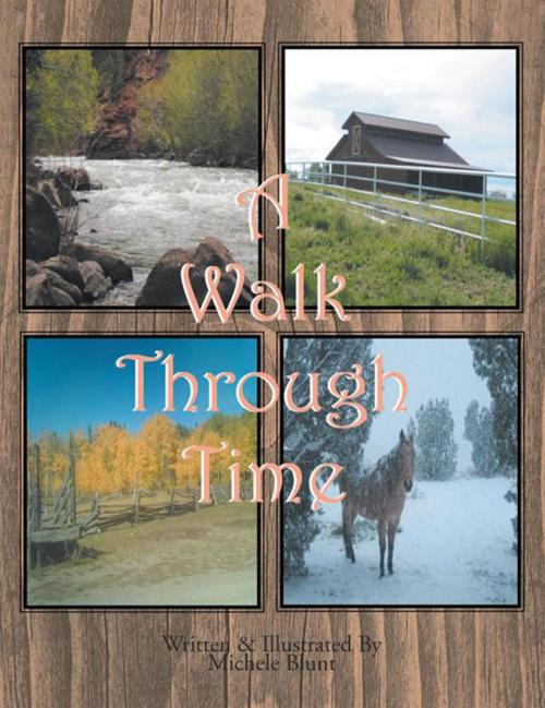 Cover of the book A Walk Through Time by Michele Blunt, Xlibris US