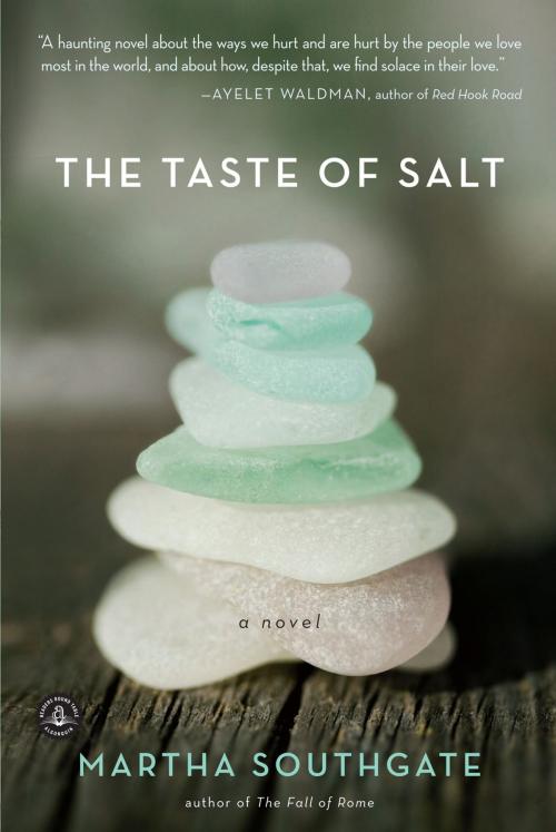 Cover of the book The Taste of Salt by Martha Southgate, Algonquin Books