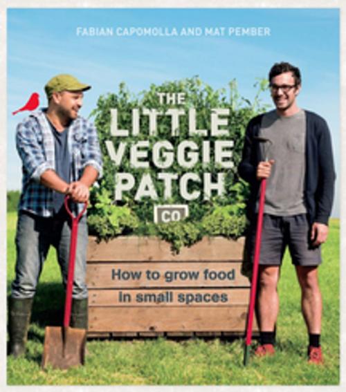 Cover of the book The Little Veggie Patch Co. by Fabian Capomolla, Mat Pember, Pan Macmillan Australia