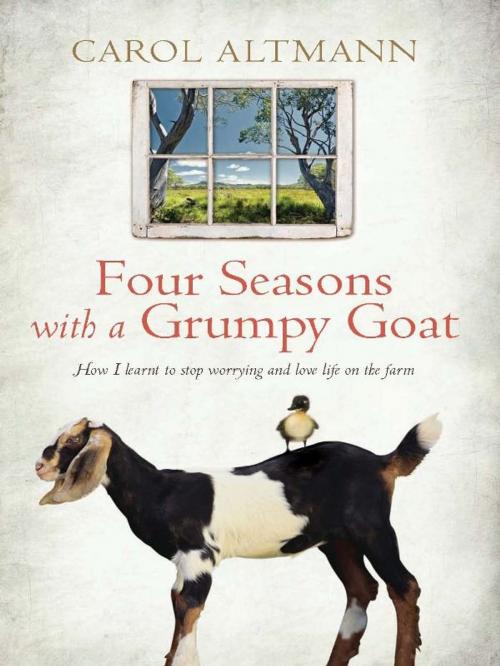 Cover of the book Four Seasons with a Grumpy Goat by Carol Altmann, Allen & Unwin