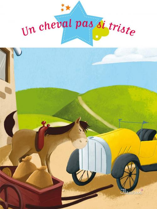 Cover of the book Un cheval pas si triste by Sophie De Mullenheim, Fleurus