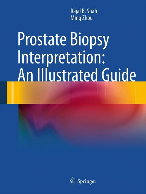 Cover of the book Prostate Biopsy Interpretation: An Illustrated Guide by Rajal B. Shah, Ming Zhou, Springer Berlin Heidelberg