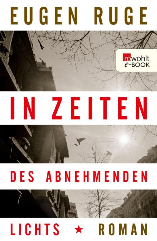 Cover of the book In Zeiten des abnehmenden Lichts by Eugen Ruge, Rowohlt E-Book
