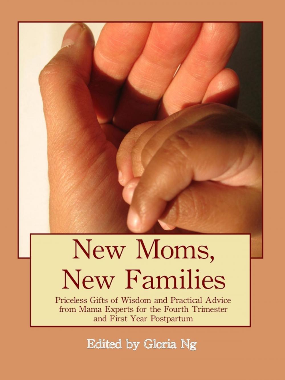 Big bigCover of New Moms, New Families