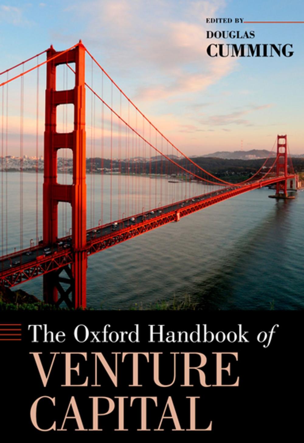 Big bigCover of The Oxford Handbook of Venture Capital