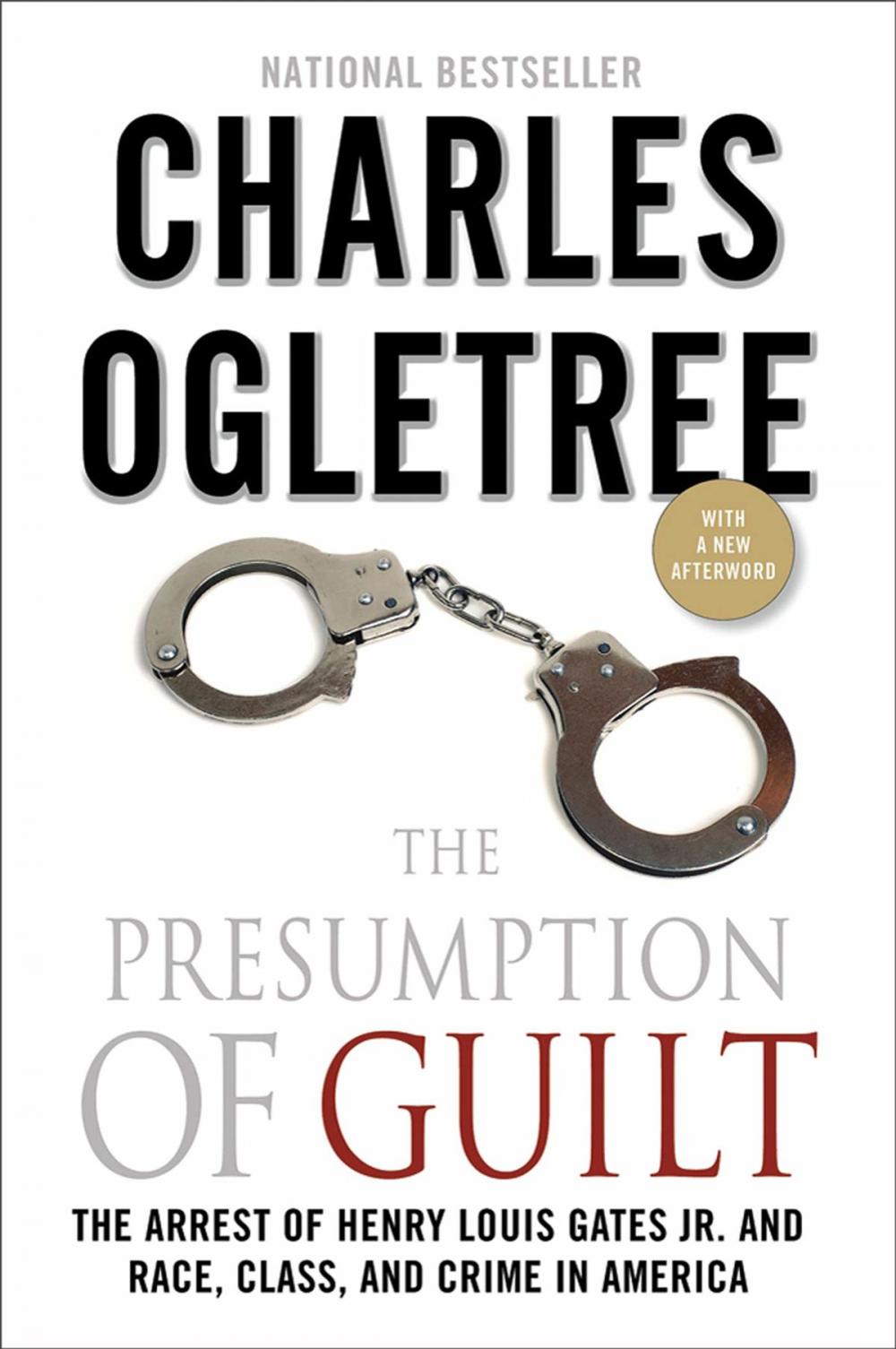 Big bigCover of The Presumption of Guilt