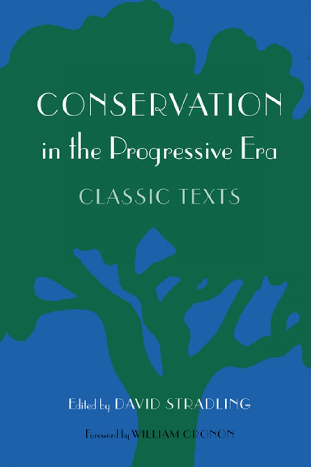 Big bigCover of Conservation in the Progressive Era