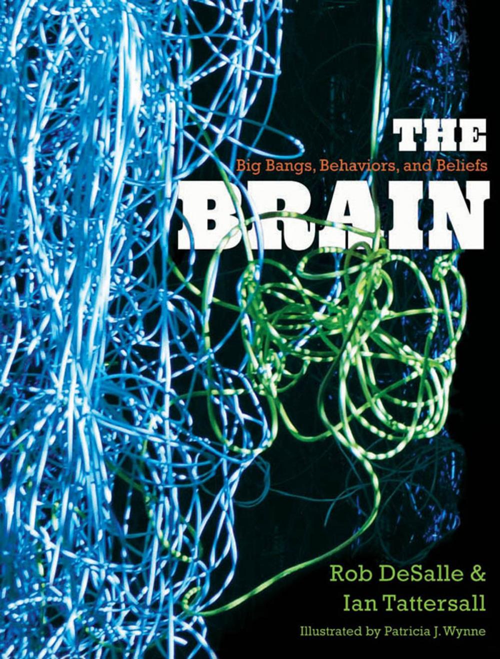 Big bigCover of The Brain