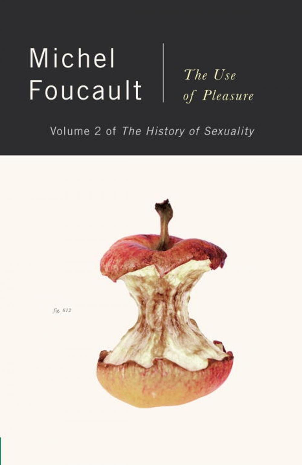 Big bigCover of The History of Sexuality, Vol. 2